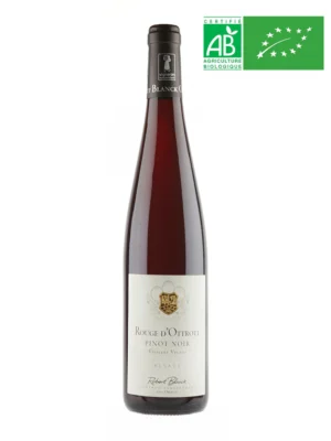 Pinot Noir 2023, Vieilles Vignes